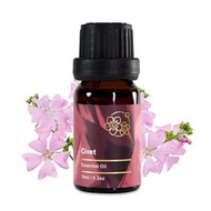Amour 精油 - Civet Essential Oil - 麝香 10ml - 100% Pure