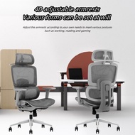 Ergonomic Office Chair with Lumbar Support 4D Adjustable Arms Headrest High Back Computer Chair Full Mesh Double Backrest