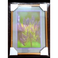 Wood frame size A4 (wooden quality frame, special offer)