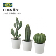 IKEA IKEA FEJKA FEJKA Artificial Potted Plant with Flowerpot Indoor Outdoor Cactus Modern Simple Nor