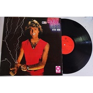 B026 ANDY GIBB AFTER DARK Collection Edition LP Big Vinyl Selected Songs 12-inch big disc