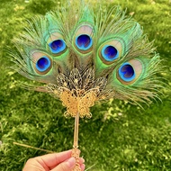 Peacock Feather Fan Handheld Fan Small Feather Fan Shooting Props Wedding Fan Live Fan Factory Direc