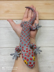 mainan karet tokek bintik merah besar