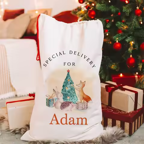 Custom Name Christmas Sack Gift Bag Personalised Santa Sack Decoration Box Special Delivery Box Kids