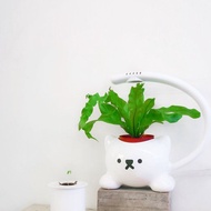 Light up the cat __ 猫造型LED植物栽培燈