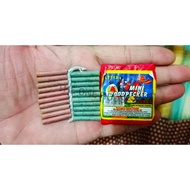 KEMBANG API CABE /PETASAN CABE Mini Woodpecker