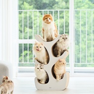 Duit kitty tree 4in1 Scratcher That Gives More Than 2 Cats To Sleep And Play Comfortably.