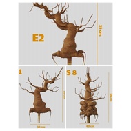 Apricot root, bonsai, glitter root, peach root, bonsai tree stem to make flowers CNY