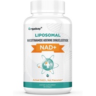 Orgabay Liposomal NAD+ Supplement 500 mg, High Absorption, Boost NAD+ with TMG 250 mg