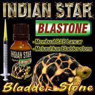 INDIAN STAR BLASTONE CAIR OBAT MELURUHKAN URATES REPTILE BLADER STONE BS MENGOBATI PENYAKIT BATU KAN