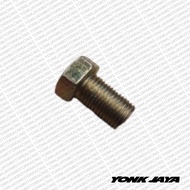 STAINLESS STEEL BOLT 17 BOLT/ 17