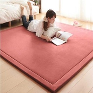 ORIGINAL TATAMI CARPET/CARPET JAPANESE STYLE/karpet tebal/karpet tatami 100% original