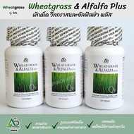 (3 กระปุก) ผักเม็ด Wheatgrass & Alfalfa Plus แอมสตรอง  อาหารเสริม เพื่อสุขภาพ สูตรดั้งเดิม แอมสตรอง 