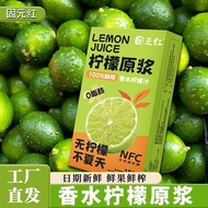 [Guyuanhong] Lemon Raw Pulp Lemon Juice Perfume Lemon Juice Drink Fresh Fruit Freshly Squeezed Seedl