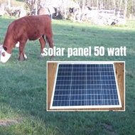 Solar Panel 50 watt untuk Pagar Elektrik