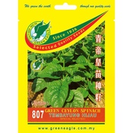 807 GREEN CEYLON SPINACH TEMBAYUNG HIJAU 青帝皇苗种籽