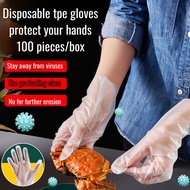 Disposable Thickened Food Grade Film Gloves Kitchen BBQ Crayfish Gloves Transparent Disposable Glove