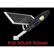 PJU Cobra Solar Panel 50 Watt 50W Two in One + Board Solar PowerWP