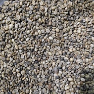 greenbean biji kopi mentah robusta 1kg 1000gr sortir suton