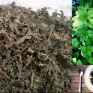 HERBAL MURAH DAUN CINCAU HITAM 1 KG