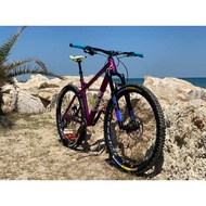 DA BOMB  SENTINEL 29er Boost Full Set Custom Build