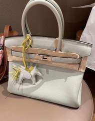 Hermes Birkin 30 水晶灰 銀扣 togo