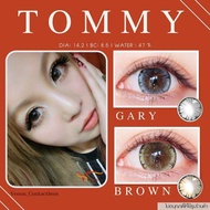 คอนแทคเลนส์ Tommy : Gray - Brown / ยี่ห้อ Pitchy Lens ลายเกล็ดหิมะ/เกล็ดน้ำแข็ง  ( ค่าสายตาปกติ - 7.