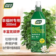 Shangyang Happiness Tree Plant Nutrient Solution Gardening Pot Planting Fertilizer Flower Hydroponic Organic Fertilizer