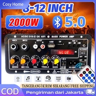 D10-II 900W Bluetooth Karaoke Amplifier Board with Digital Display