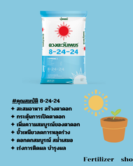 แม่ปุ๋ย 8-24-24 Bio ซัลเฟต กระสอบ 25 Kg.(ดวงตะวันเพชร)