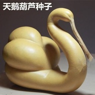 Swan Gourd Seeds Wine Gourd Seeds Ornamental Gourd Seeds Wenwan Ornaments Gourd Seeds Ornamental Gou