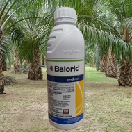 1L BALORIC SYNGENTA/ RACUN RUMPAI / Loyant + Sofit / Padi Burung / Kaladi Agas / PRETILACHLOR 27.40%