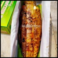 Promo Otak-Otak Bandeng Bakar Bu Muzanah Khas Gresik Surabaya Sidoarjo