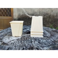 Succulent Small Pot 3 Inch Square Root Control Premium Seedling 3 Flower Strawberry Taste Style