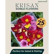 Fresh Chrysanthemum Flower | Edible Flower | Suitable for Food and Drink Garnish Cake Decoration Pla
