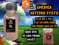 Trứng artemia ấp nở Mỹ loại 1 - tỉ lệ nở cao ít trứng chìm thức ăn giàu dinh dưỡng choncas cảnh