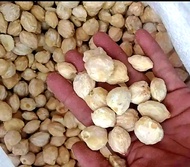 Kemiri bulat Muncang rempah Garut 1 kg