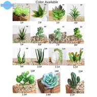 Home Office Artificial Plastic Succulent Plant Cactus Decor Gift