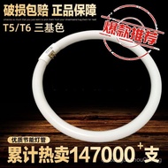 T6/T5Ring Light Tube Round Light Tube Four-Pin Tri-Primary Color Living Room Bedroom Energy-Saving F