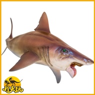 โมเดลสมมติไหปลาร้ารูปทรงกลม PNSO Dinosaur King ที่เติบโตพร้อมกัน ซีรีส์ Sea Monster ตัวเล็ก สำหรับเด