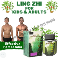 Ling Zhi Original Ling Zhi Original Pampataba Vitamins Vitamins Pampataba For Kids Ultima C Vitamins