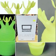 Medicom Toy x Botanize VCD Pachypodium Gracilius Var. GID 象牙宮 塊根植物 夜光