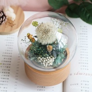 Send Girlfriend Music Box Girlfriend Glass Cover Birthday Christmas Gift Dried Flower Music Box Pres