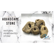 Natural Perforated Stone for decoration aquascape