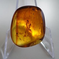 天然緬甸琥珀 蟲珀 4.5克 Amber 金珀 原石 琥珀 白堊紀 時空膠囊
