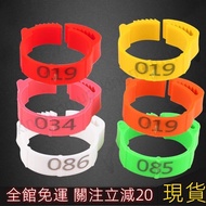 High-Quality 100 Chicken Foot Rings Poultry Inner Diameter 2mm To 2.4cm Flexible 4 Colors