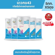 [ส่งฟรี] จัสมิน ข้าวกข43 (ดัชนีน้ำตาลปานกลาง) แท้ 100% ขนาด 5กก.X5ถุง