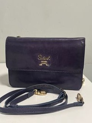 Salad 紫色皮革斜背包 Purple Leather Wallet on Chain Bag