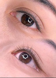 #野生眉#霧眉 #香港紋眉 #霧眉 #紋眉 #半永久眉毛 #半永久霧眉 #半永久紋繡 #水霧眉 #自然霧眉 #粉黛眉 #彷真眉 #自然紋眉 #眉 #水霧眉 #水霧眉#美甲#植眼睫毛#日式單根#山茶花#