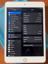 iPad Mini4 128gb wifi version